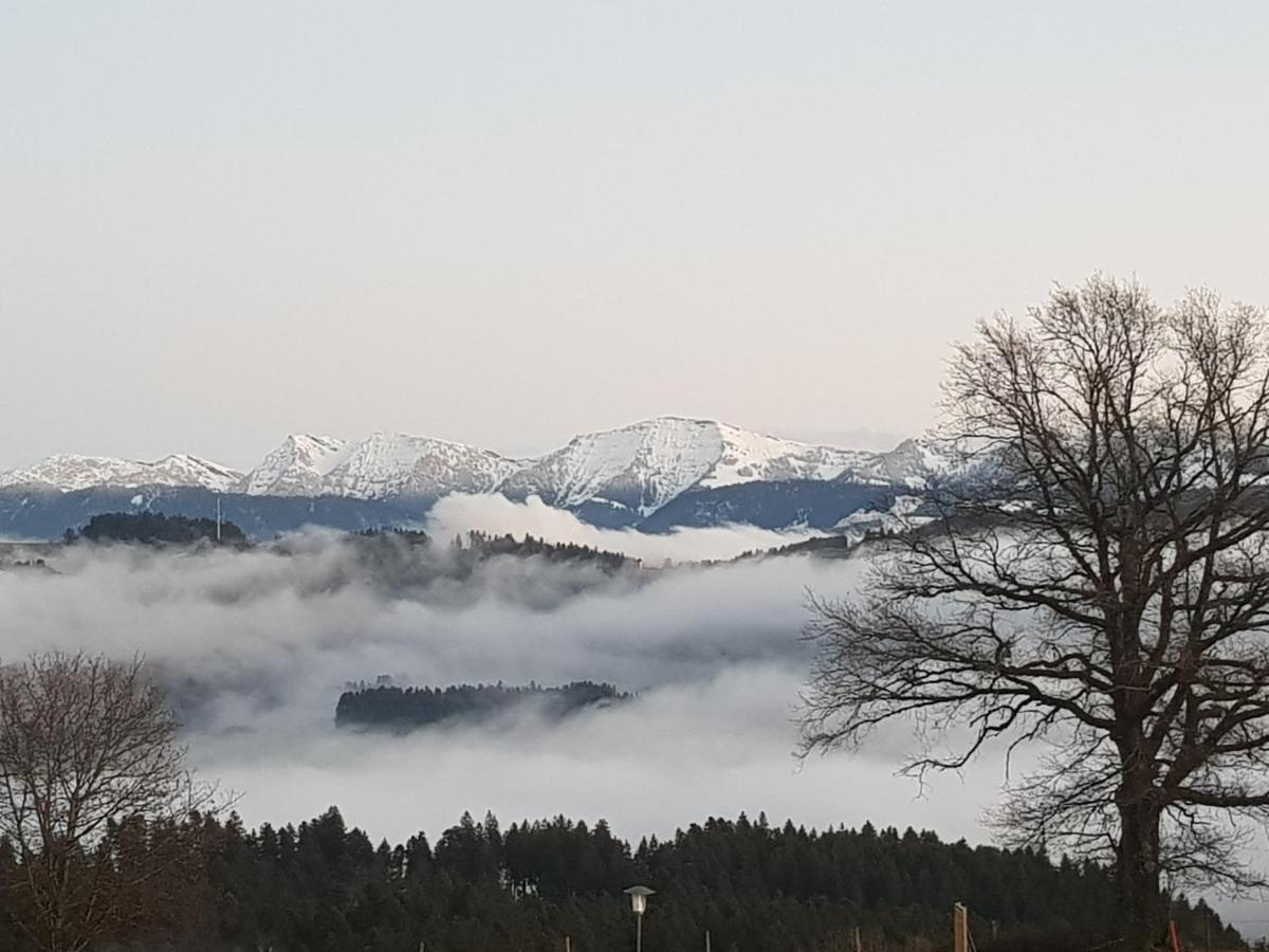 Schoenblick Hotel Garni Ferienwohnungen Lindenberg im Allgäu Eksteriør billede